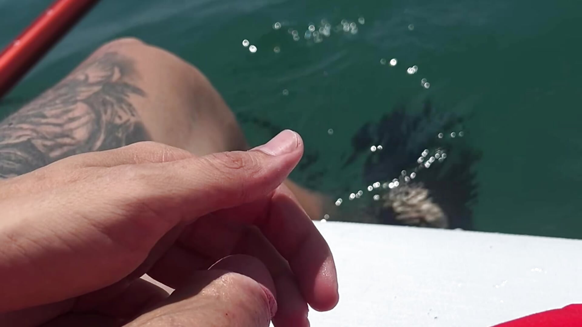 cumming in the middle of the ocean - Video von Dirtydod2711 Cam-Model