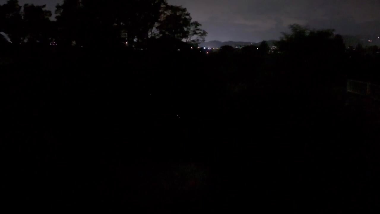蛍💡