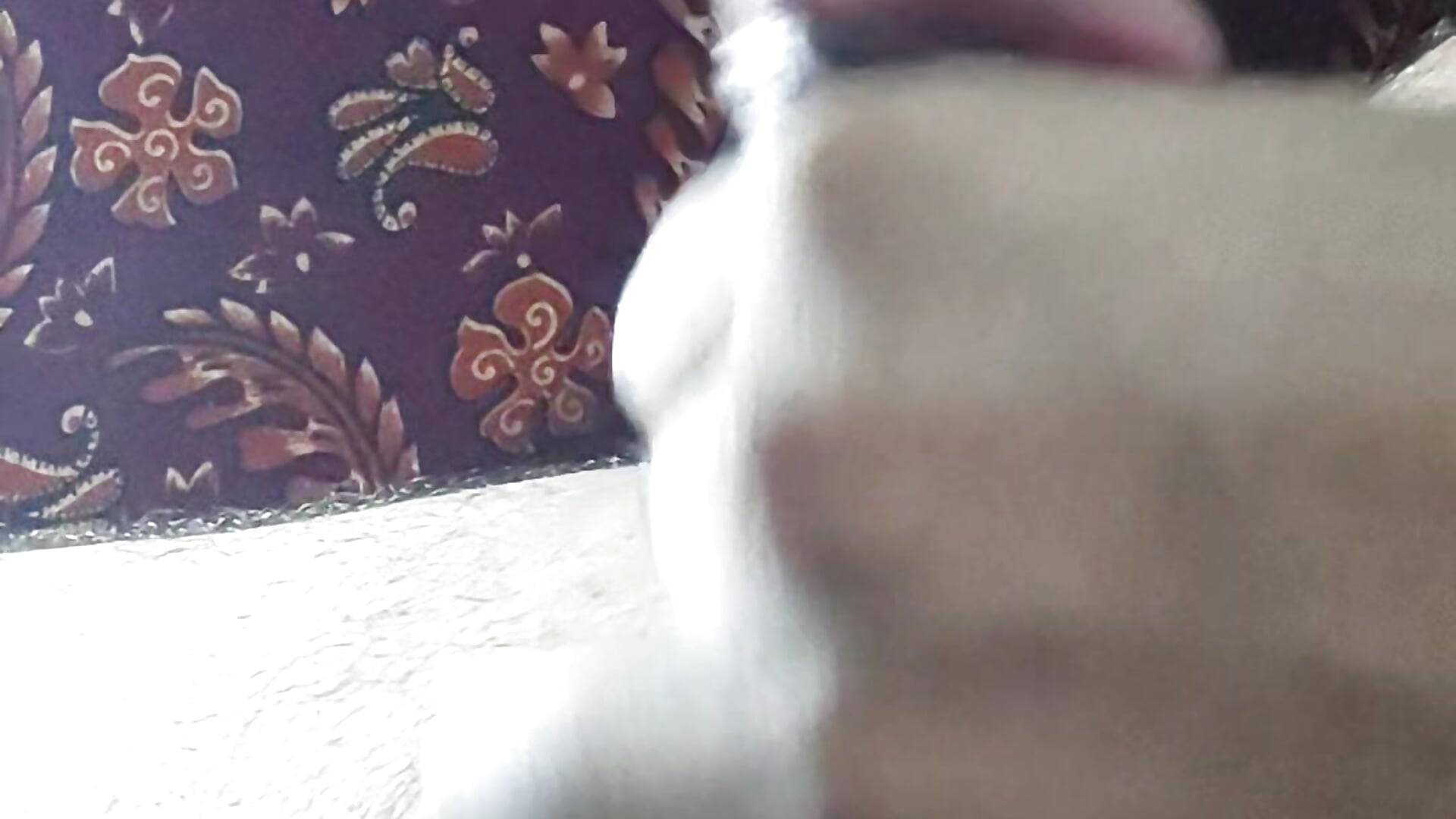 Cum flow - video by firecock080 cam model