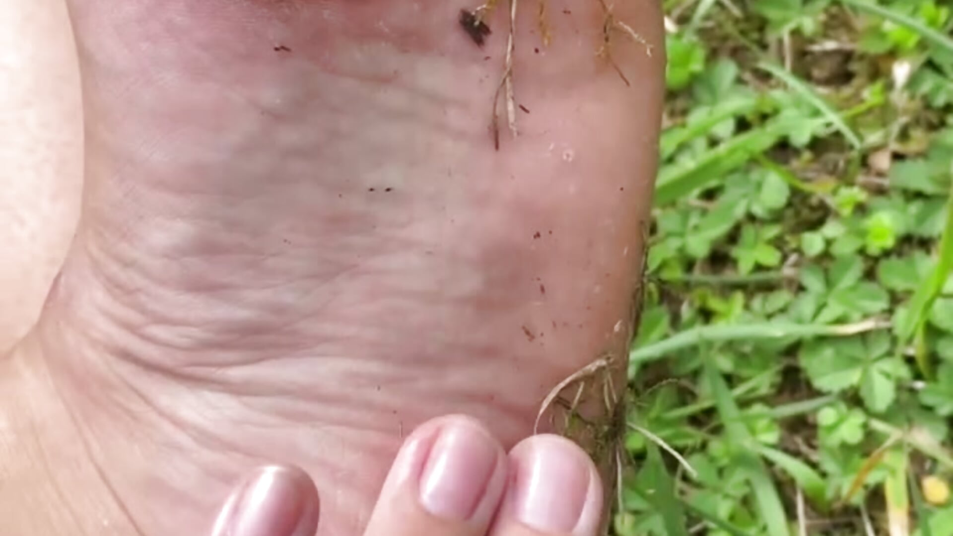 Do you like the dirty soles of my feet? I walked barefoot on the grass…