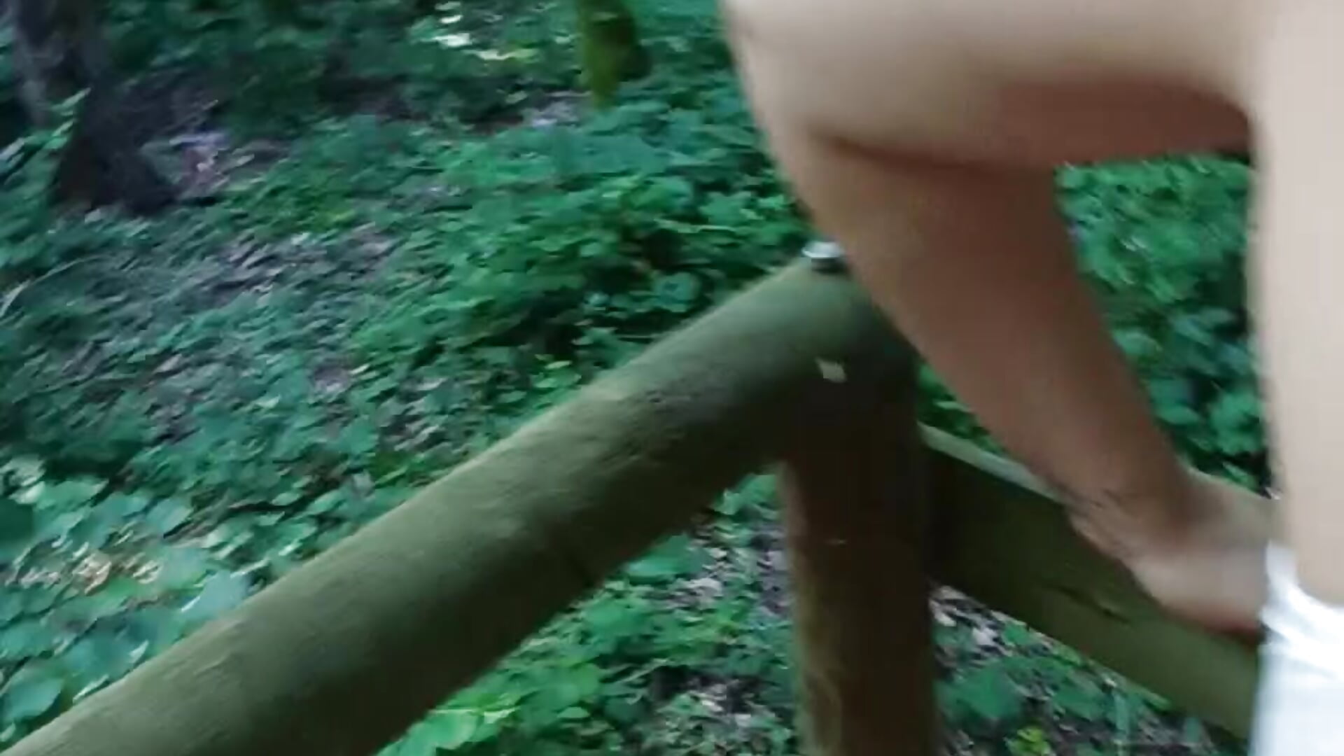 Baize en foret