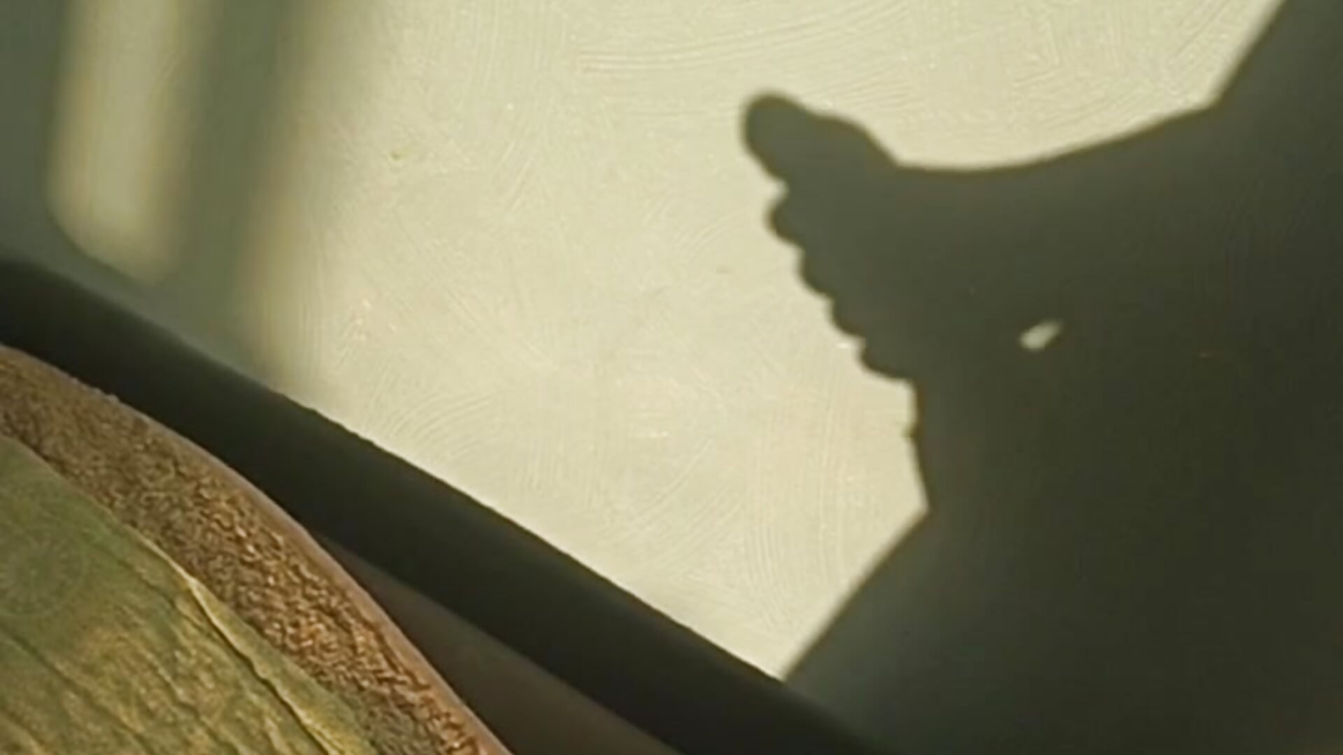 MI SOMBRA ESTA CALIENTE – video modela na kameri manuel_pornhub