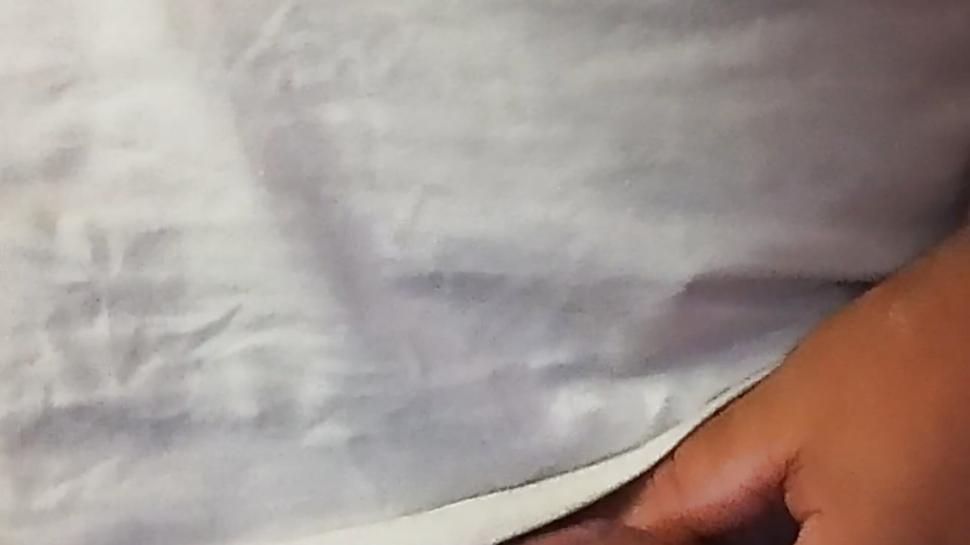 PAJA SIN LECHE - video van cashot58 cam-model