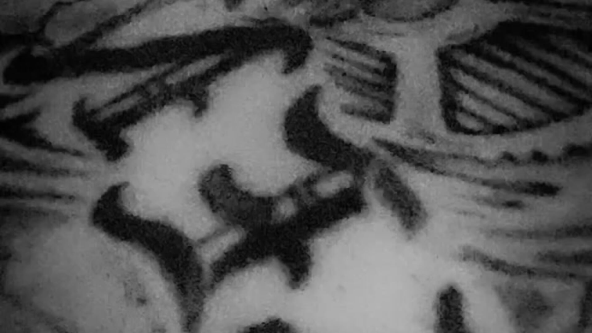 INK game on me is official zero cut cards, one hundred percent commitment. - copy 20 Oct 13:10 - video by ILLUM1NATE cam model