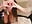 SPLITS - video by Milky_flexy_cat cam model