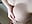 Milky Dildo - video by Milky_flexy_cat cam model