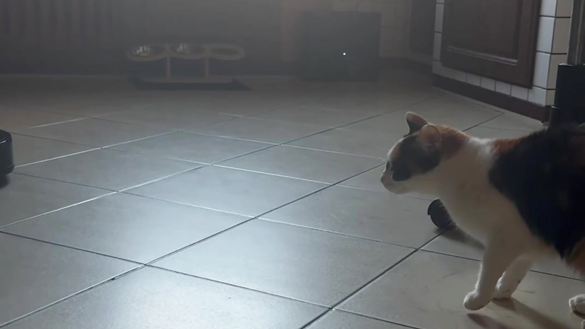 Nikki and the new device😺 - Video von Your_phobia Cam-Model