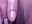 Pussy up close n personal - clip cu Shuggabutt