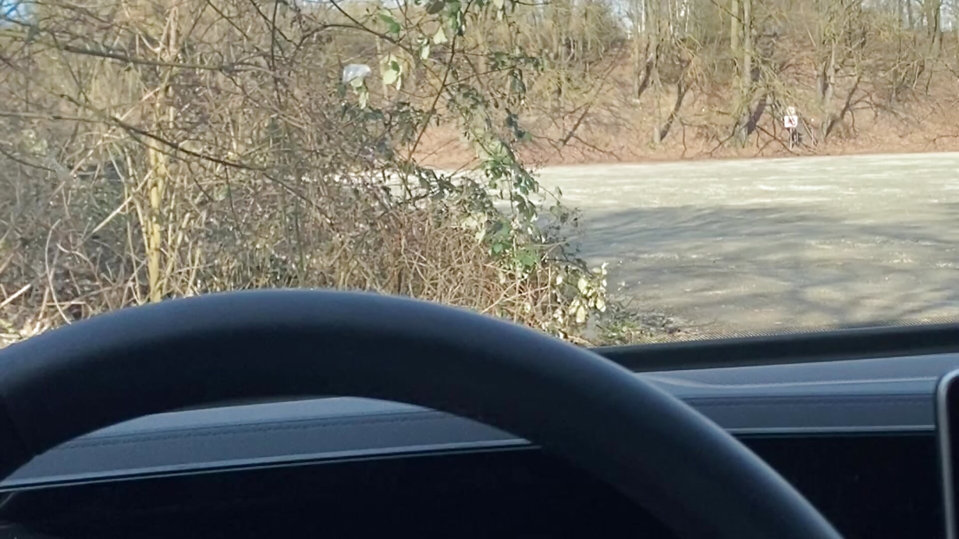 biggandybig - вебкам модель избранные видео 8878