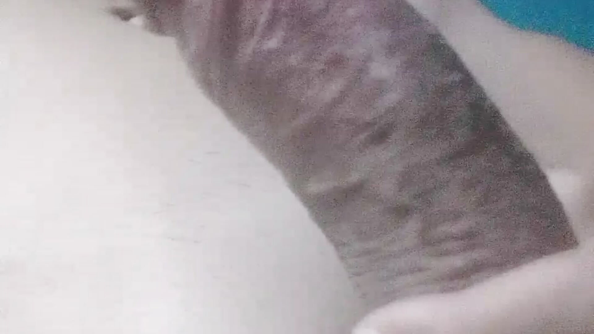 VID_20251011_181733 - video by Denilgarri cam model