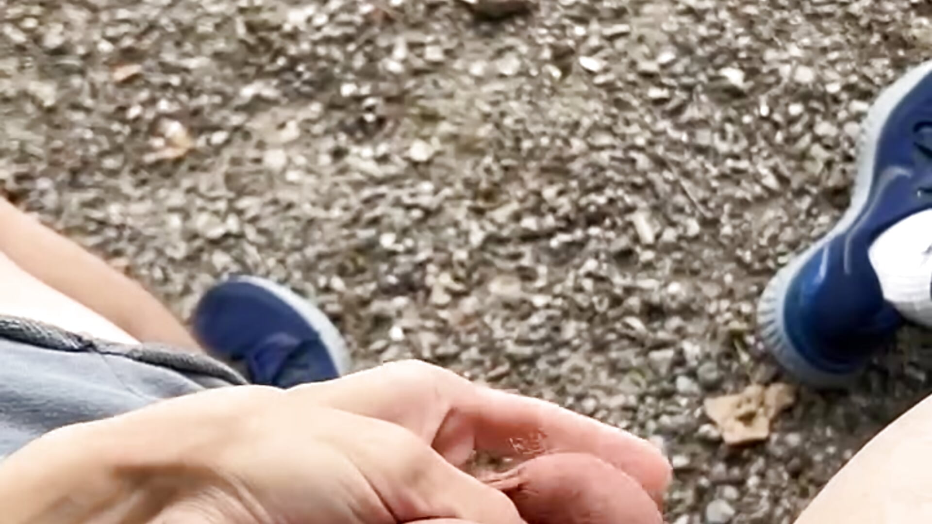 -3456055174272072927 - vidéo du modèle de showcams Sturmi18