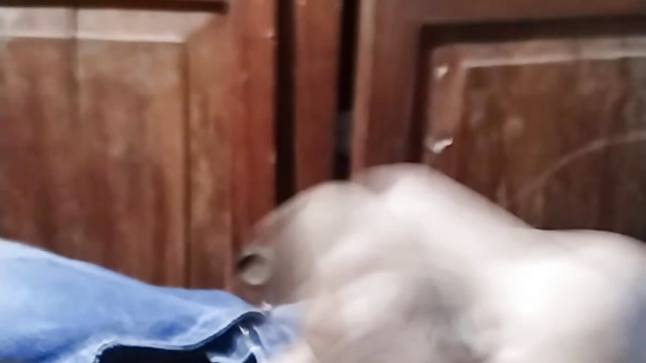 VID-20231228-WA0009 - video by xhangodelictech cam model