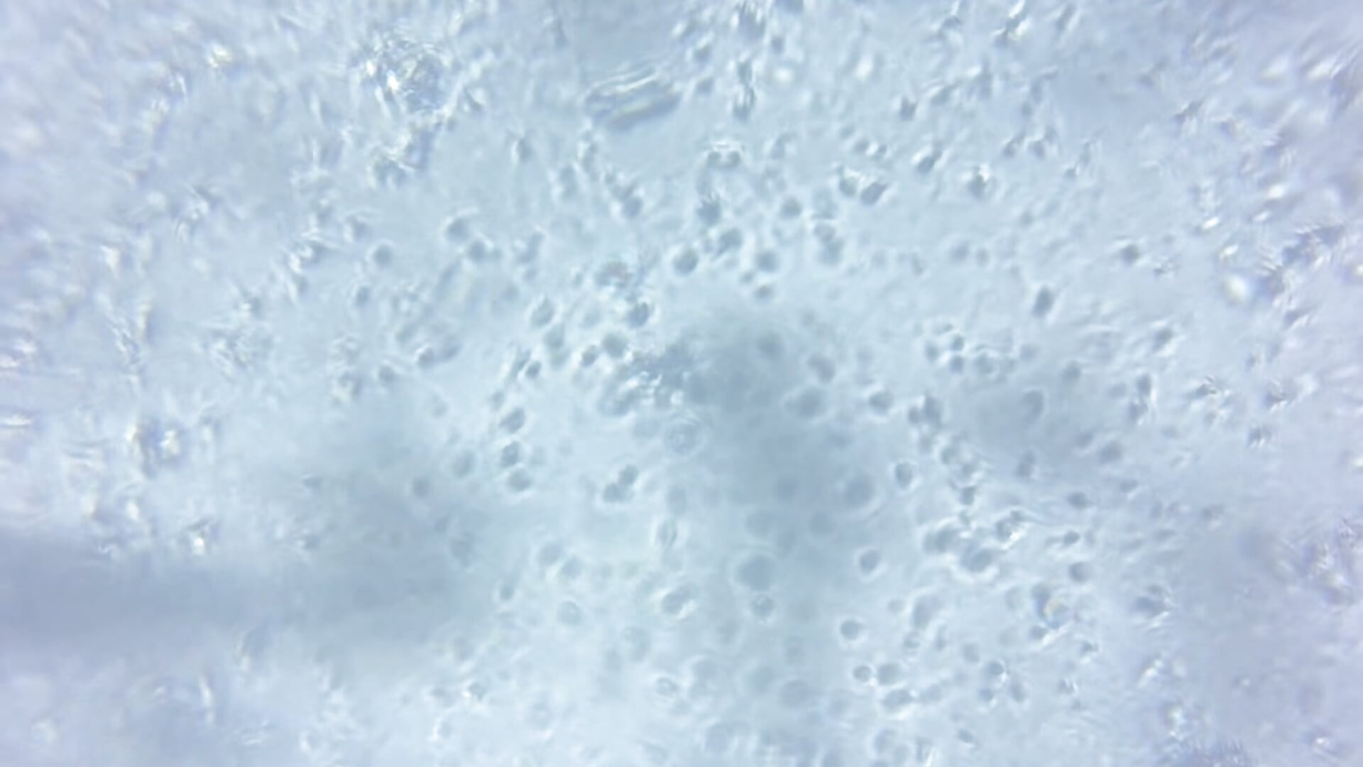 小宝贝