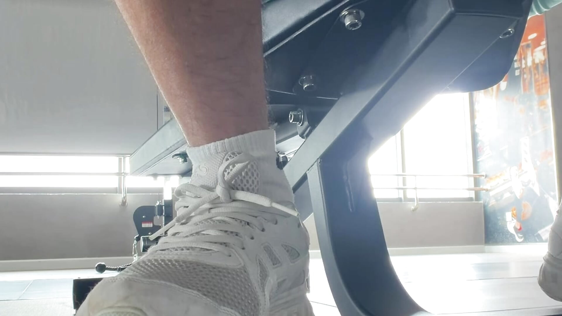 Cock Out From Short Pants 🍆