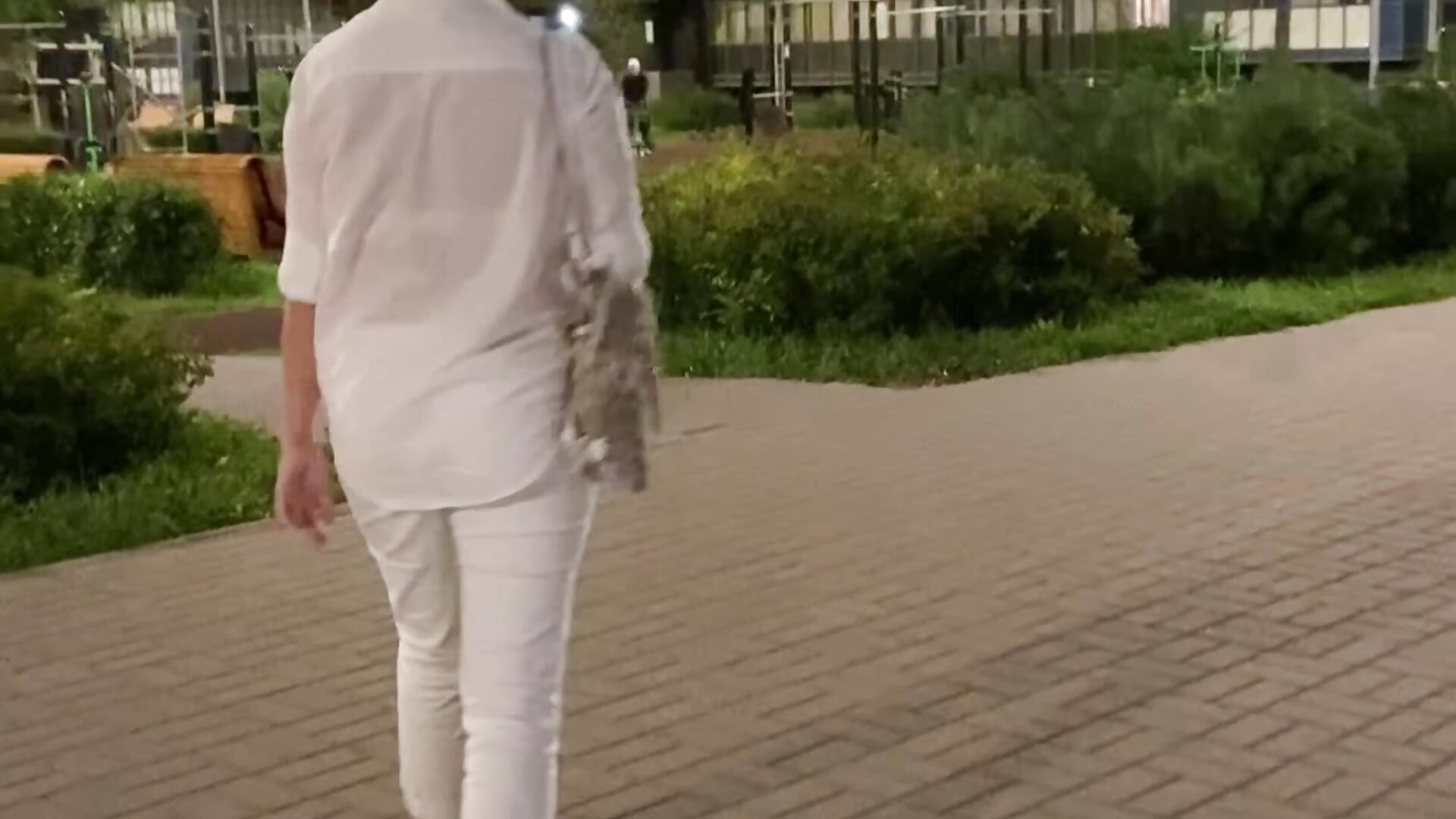 An evening walk