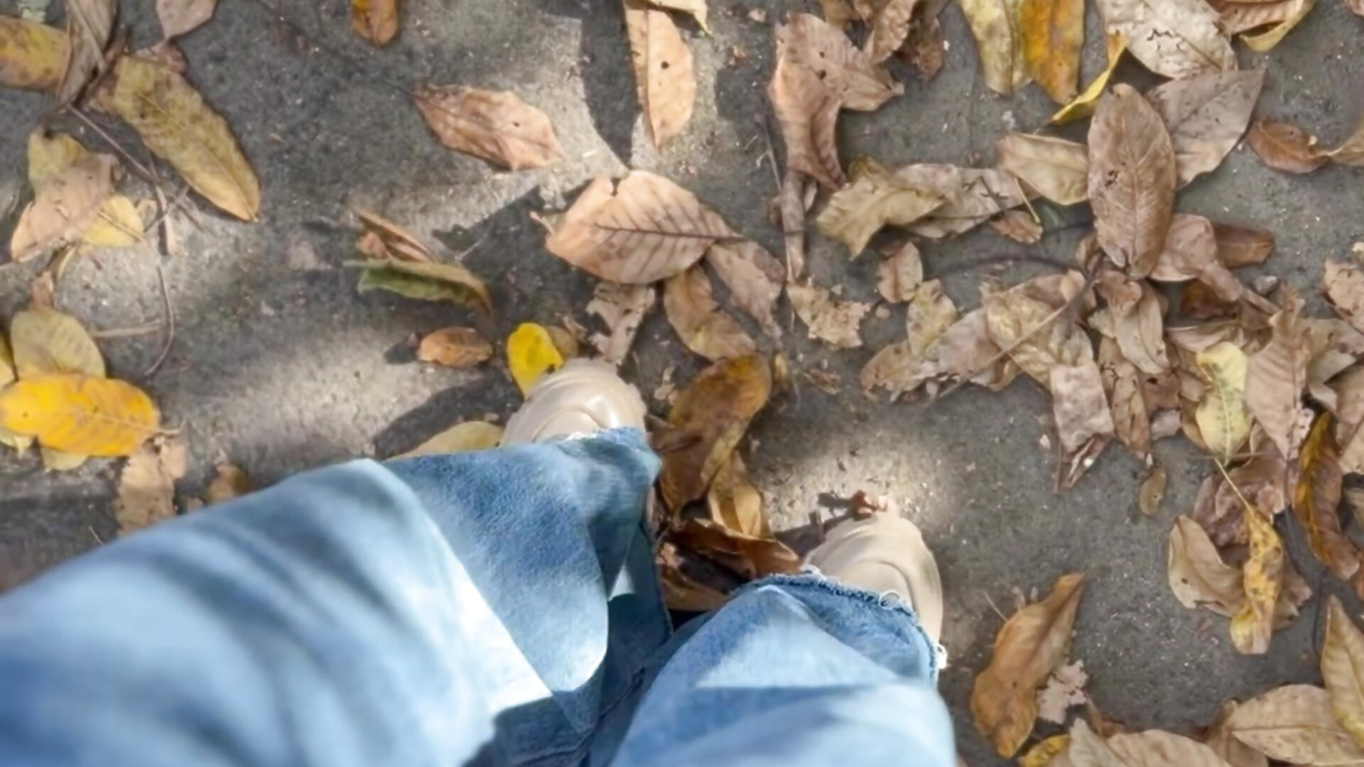 IMG_9447 - video ur_pleasure_ kameramallilta