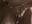 MASTURBATION IN SHOWER - video by BBabyShark cam model