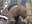 SOLO: 5 doigts cul au lac pendant notre promenade - video by Timide_girl17 cam model