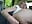 Solo : 4 fingers ass/cul goal demo - video by Timide_girl17 cam model