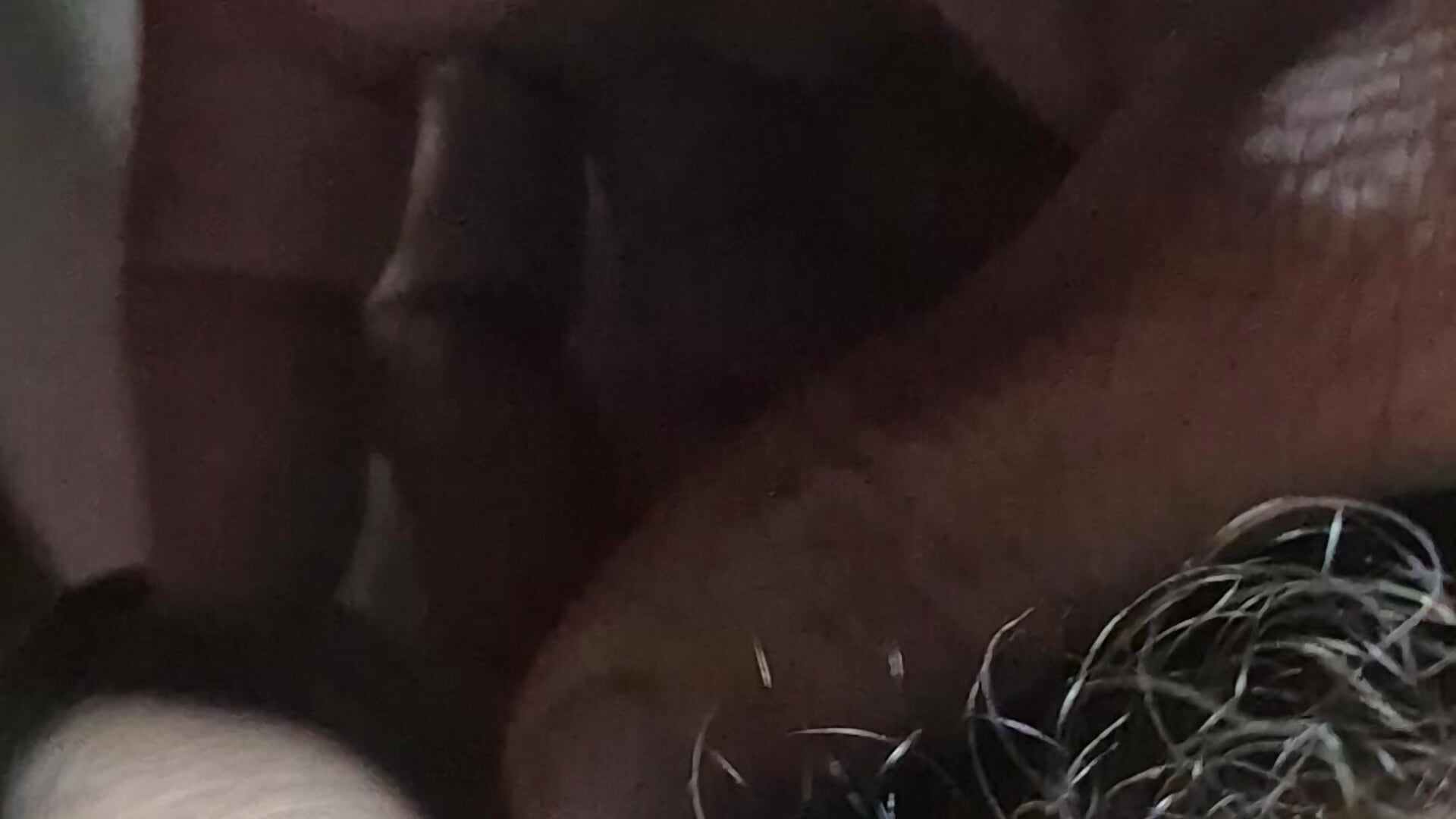 1000000606 – видео вебкам-модели VisualSeasoning1