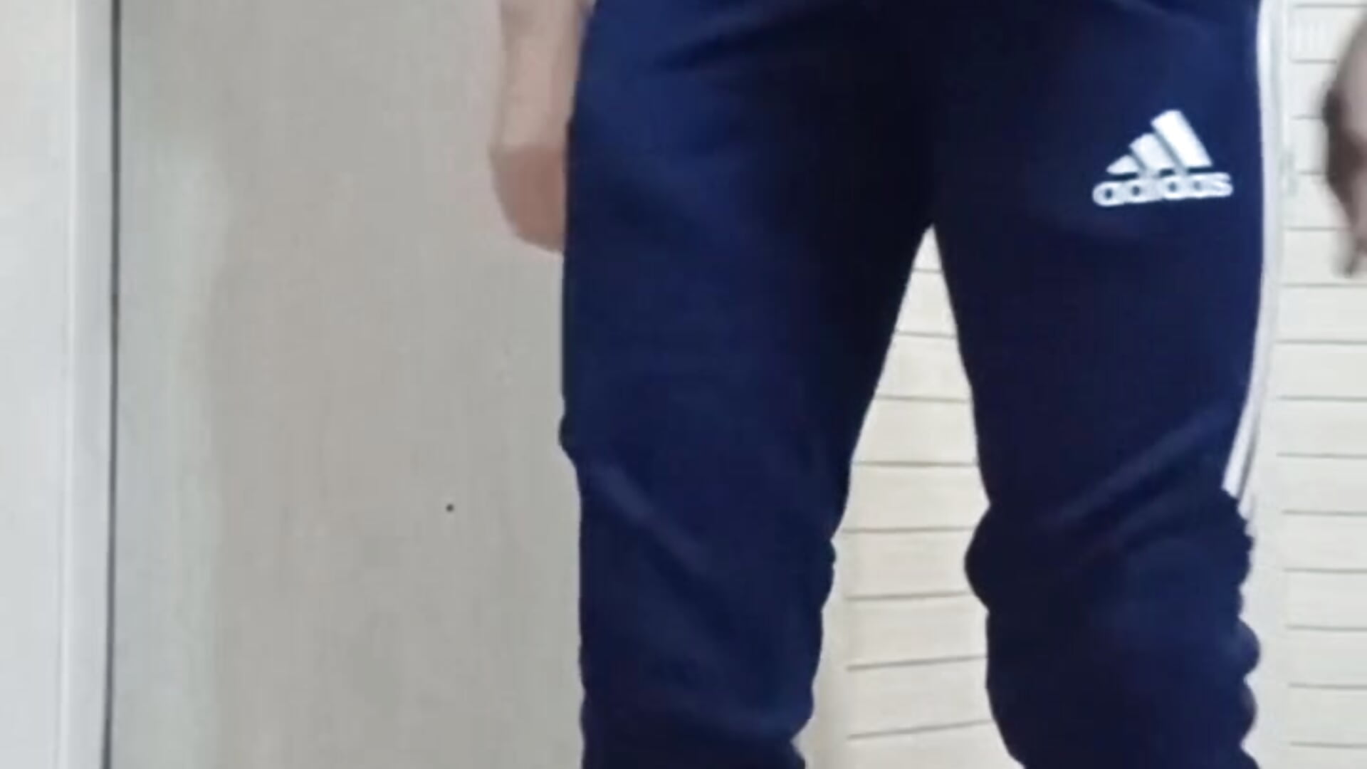 jumping in sweatpants－カメラキャストのtailer_の動画