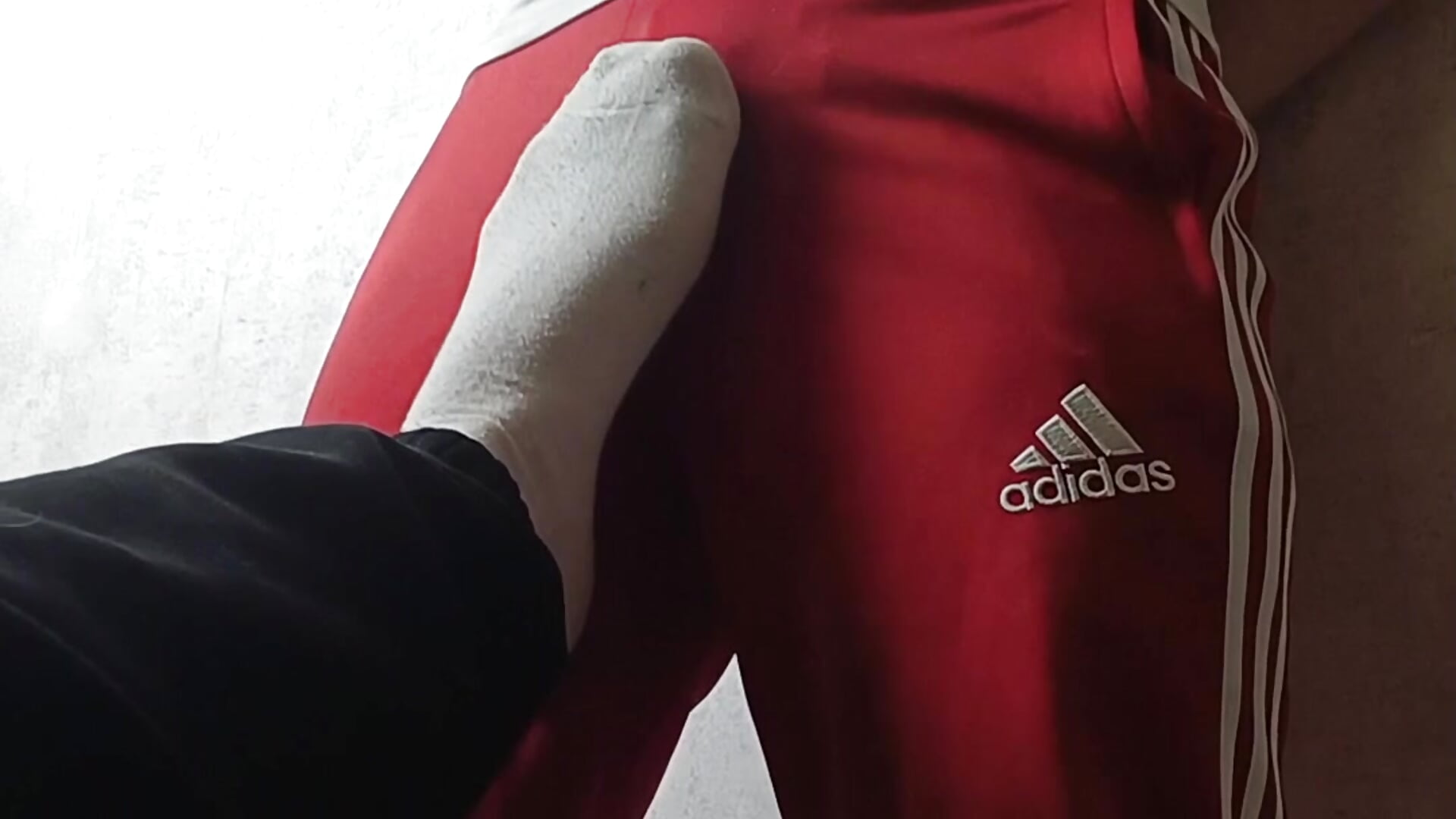 sweatpants with hard bulge – video od webkamerové modelky tailer_