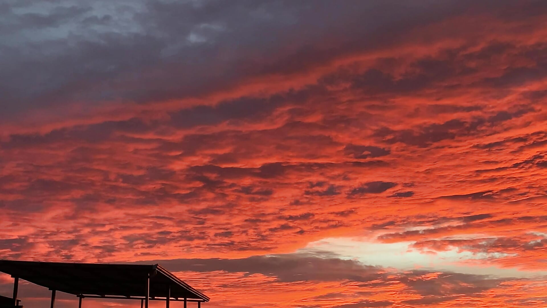 ♥️ - βίντεο μοντέλου LailaCatt