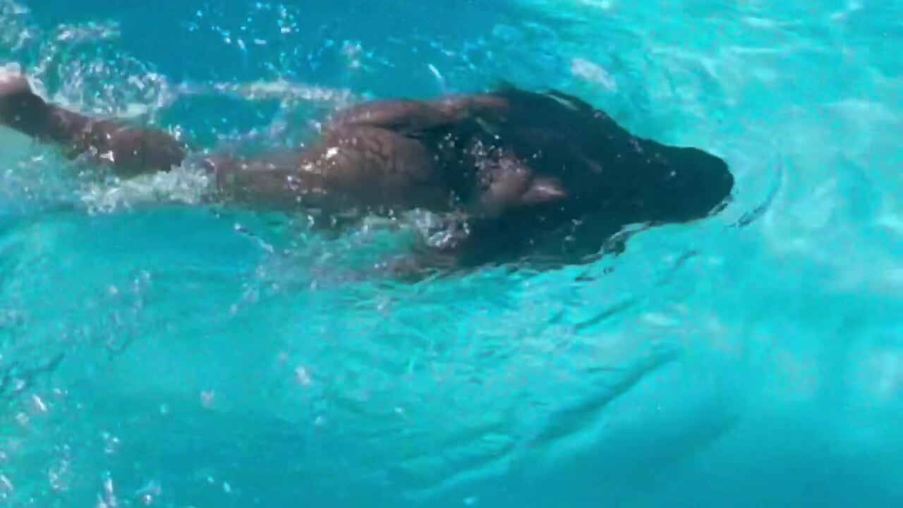 Let’s swim