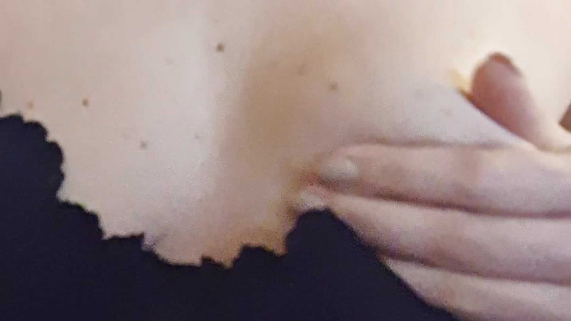 Show boobs❤️✨️