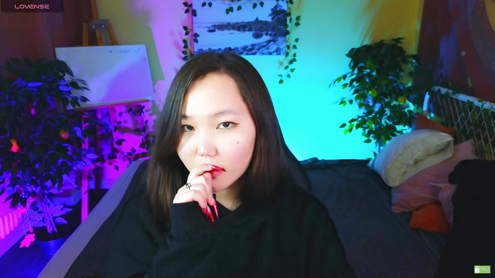 Cutie Kitten uwu
