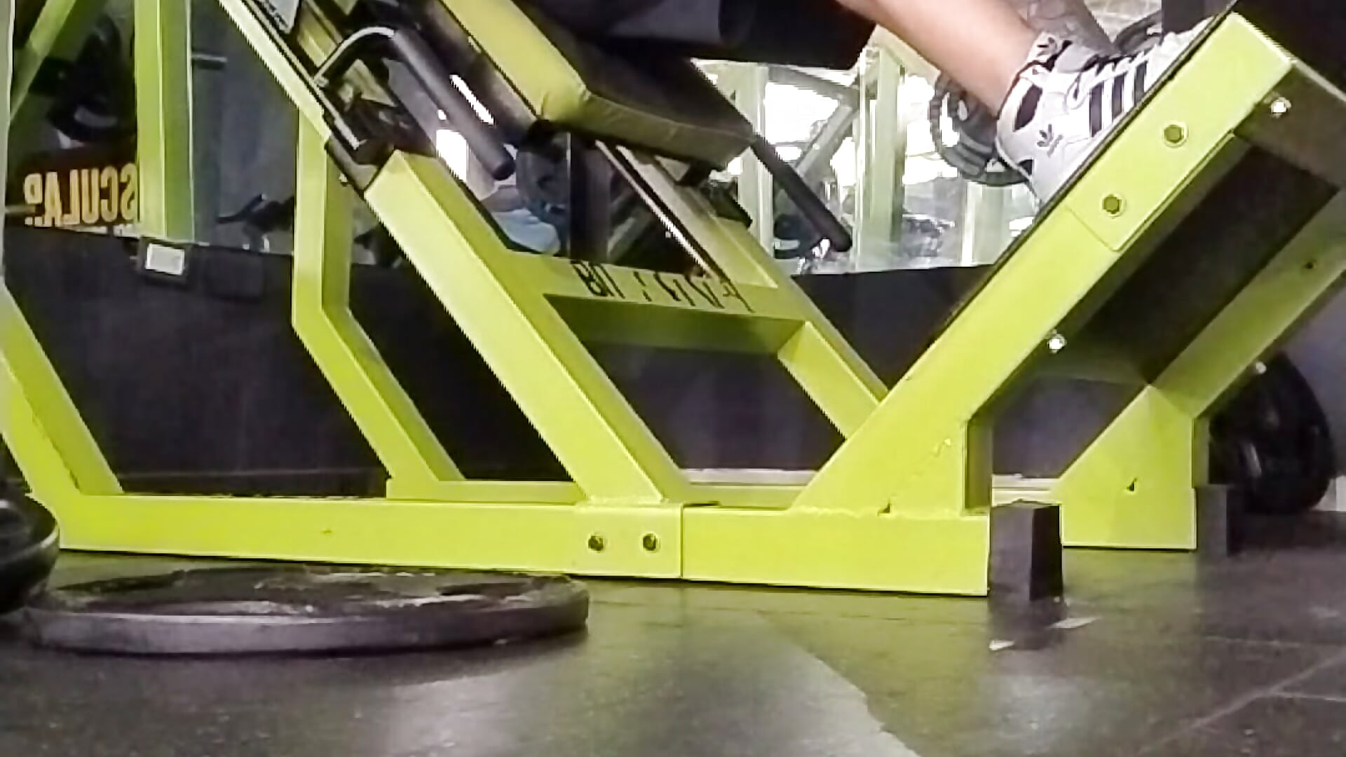 🤘🏼training the legs