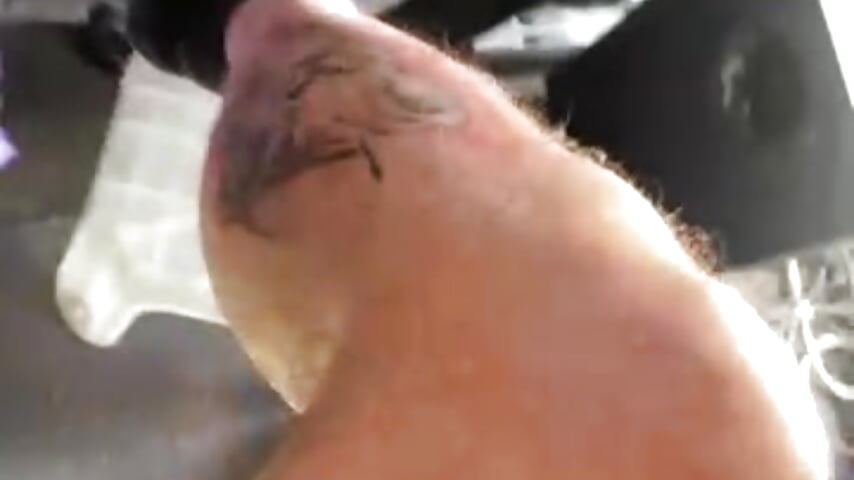 79134963593__72FFCD20-49B0-4E83-A679-6B2E623575A8 - vídeo de PissingBear modelo de câmara