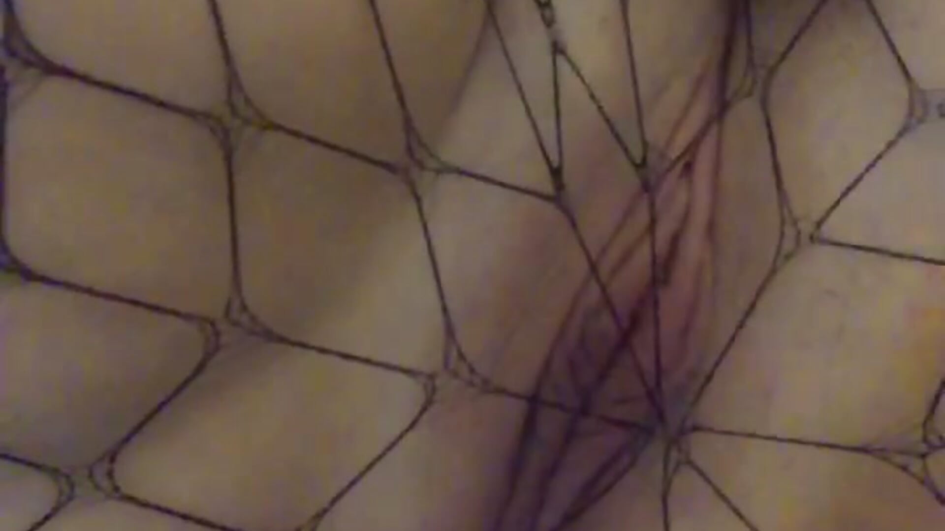 pussy in fishnets