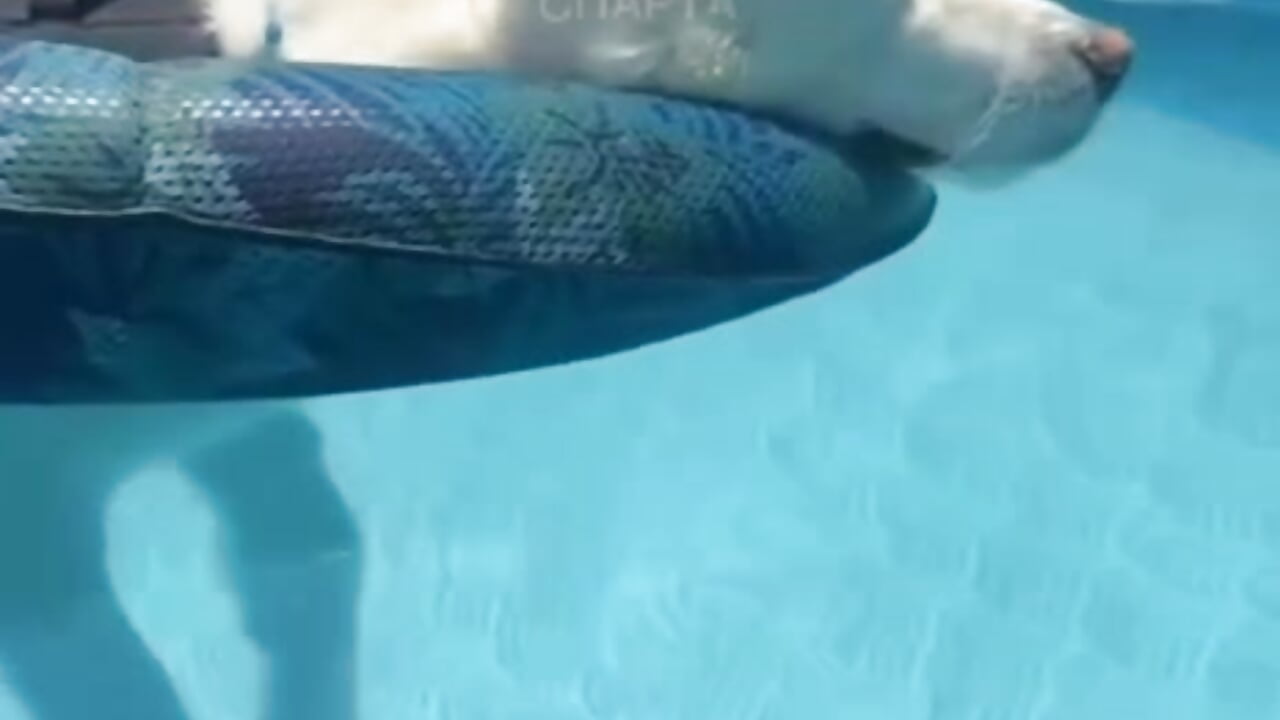 Friday has arrived! - Video von Annaweb Cam-Model