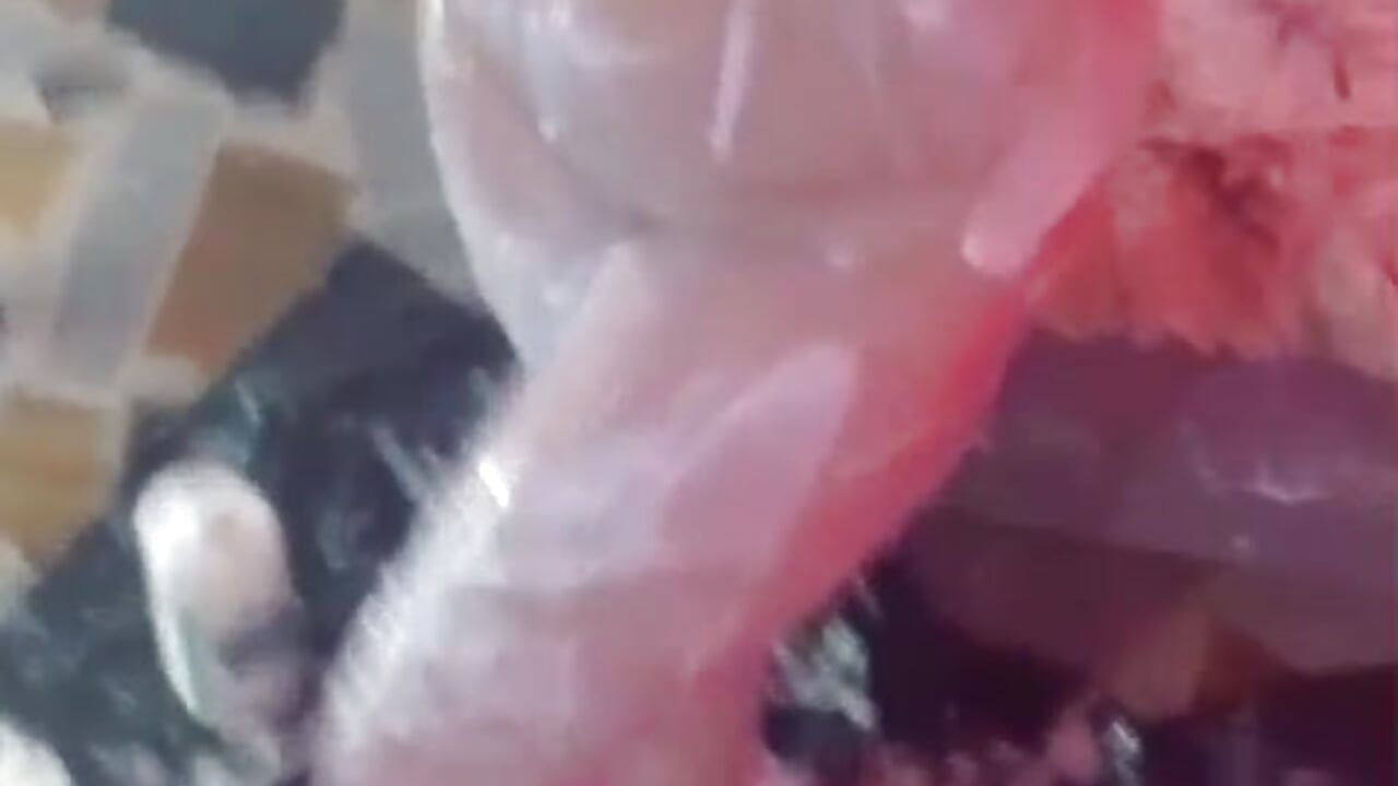 Bukakke - video by lilyponce_ cam model