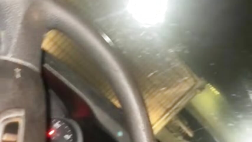 🛠️ - fuegovida 캠 모델의 동영상