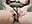 P12 : shower climax - video by NudeLena cam model
