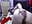 clit and asshole - video di Scarlett6331