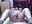 torturing my pussy with toy - video di Scarlett6331