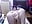 doggy,boobs,toy in pussy,asshole - video di Scarlett6331