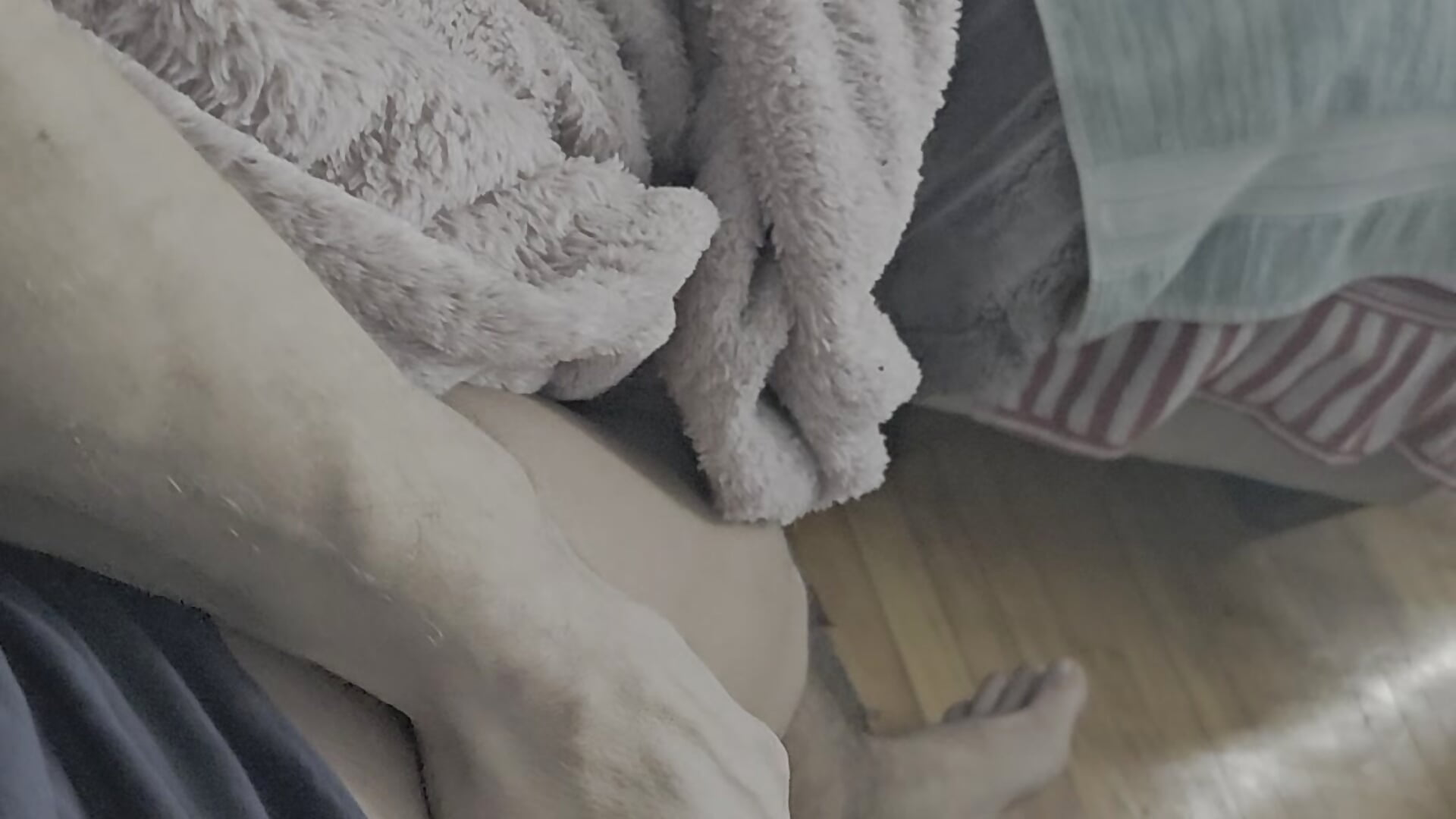 Masturber - video by Vinyboy69 cam model