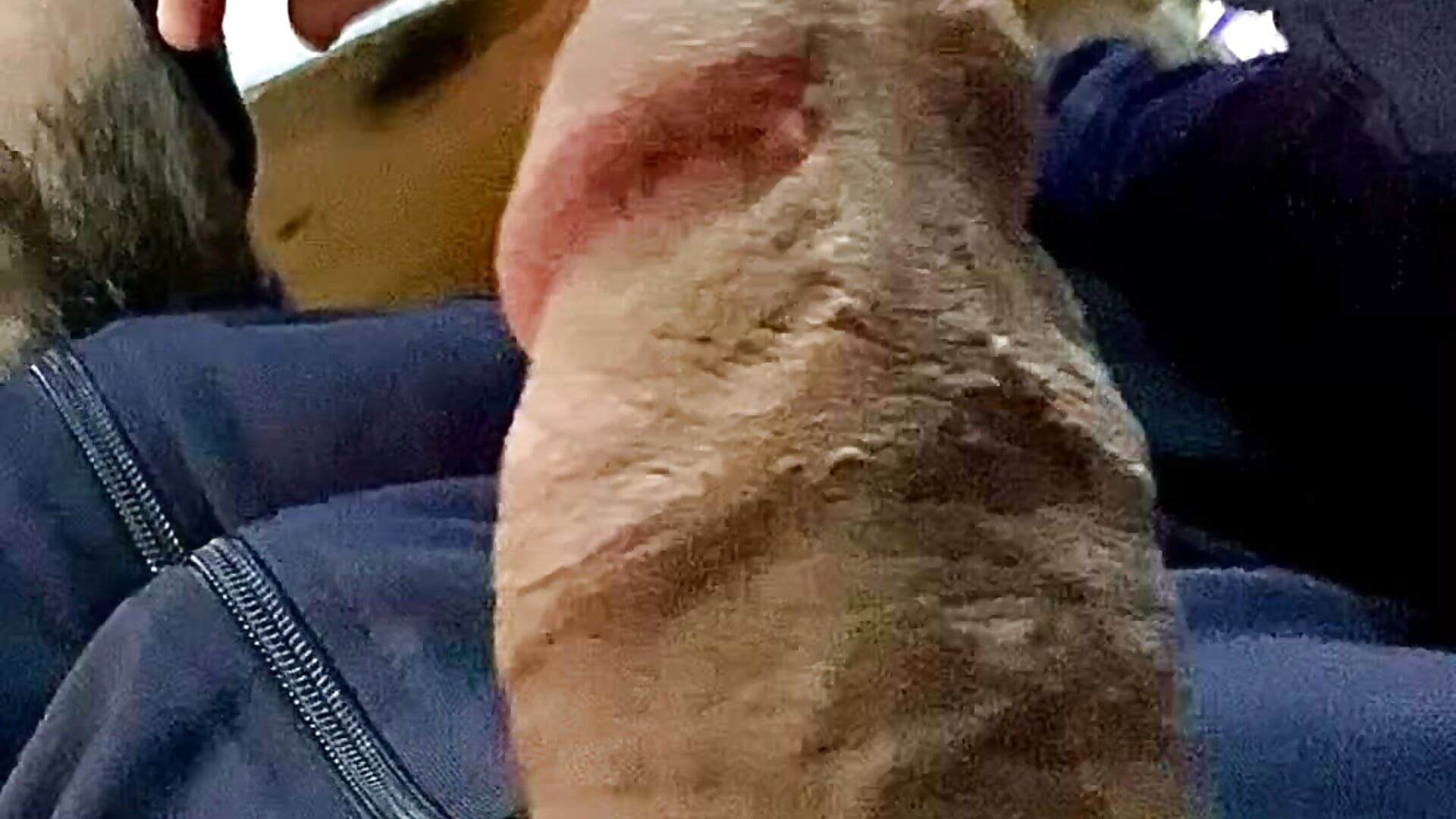 My Dick Hard At My Work Store – video od webkamerové modelky ElHefeDelTunisia
