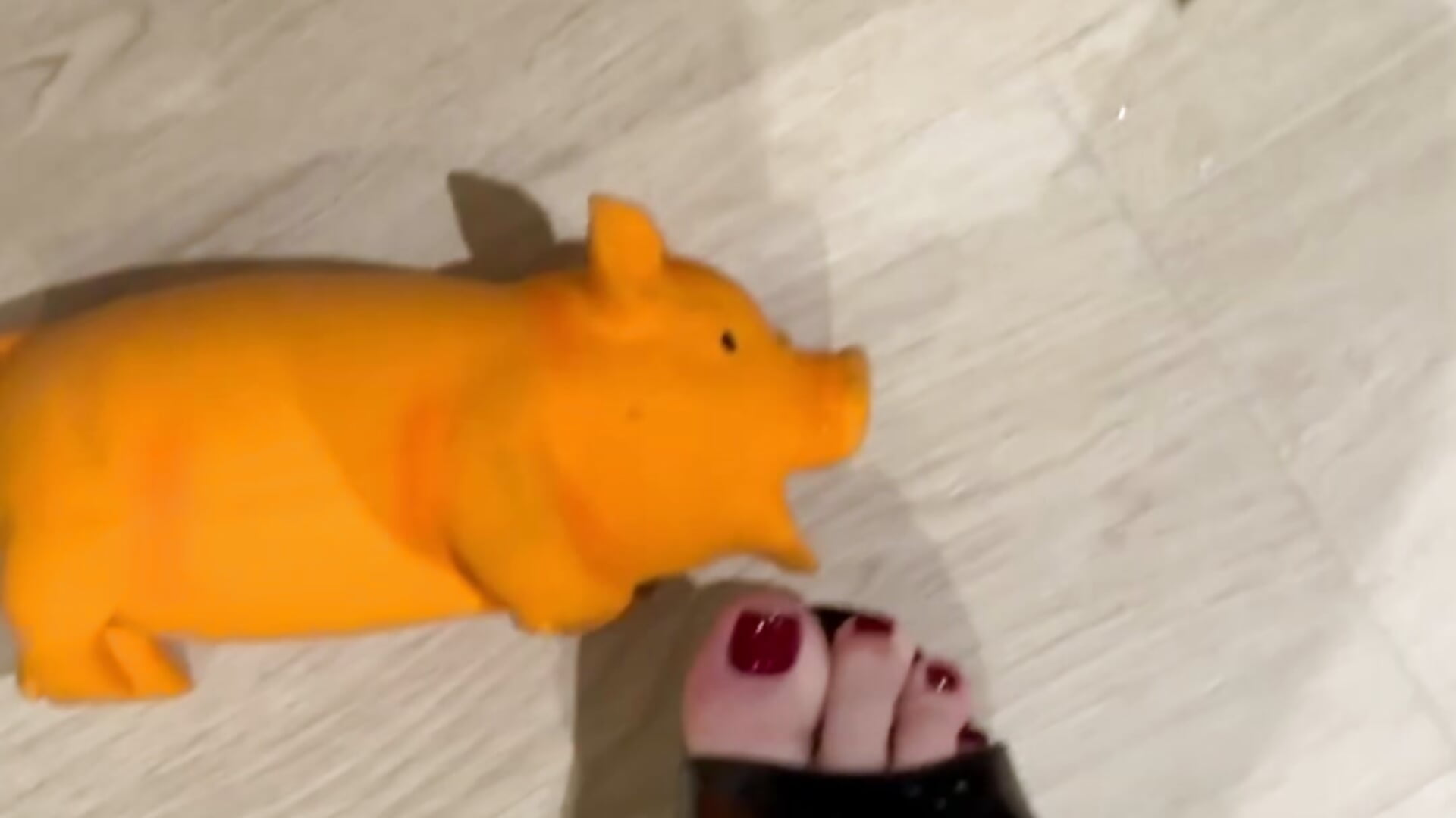 Crushing my piggy - video oleh _Misha_Addams_ kamera model