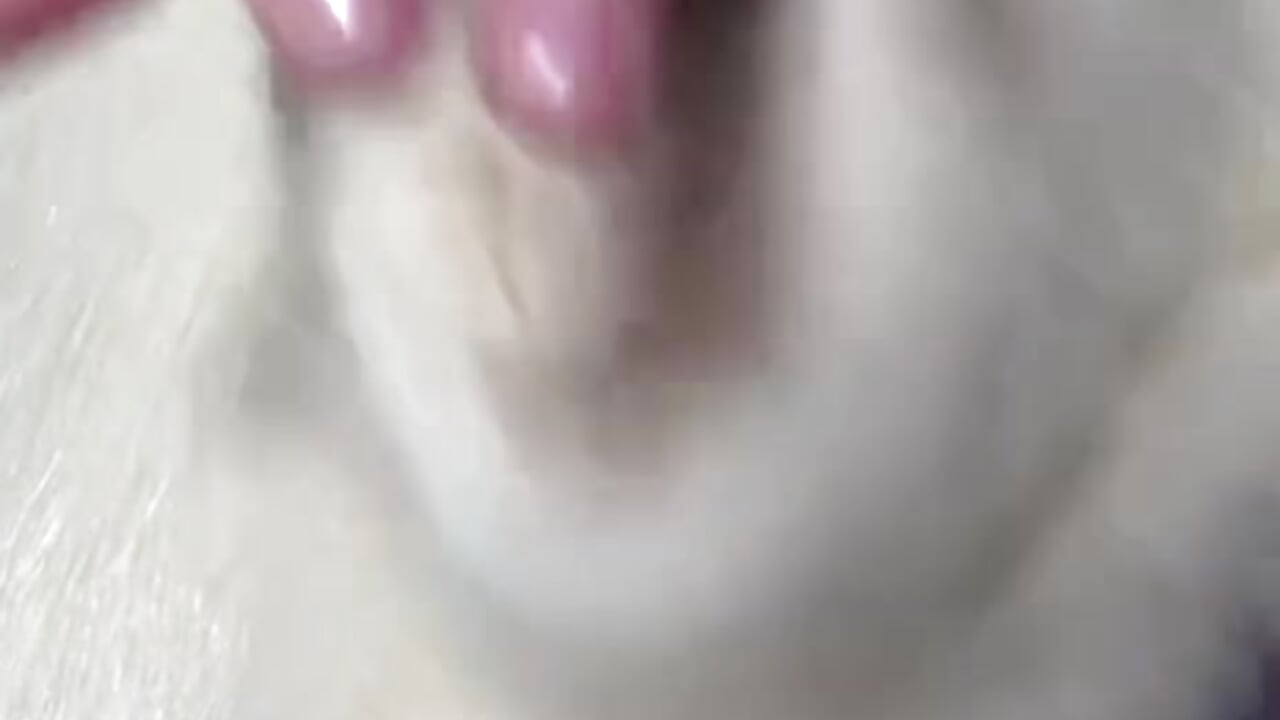 Fur puppy training