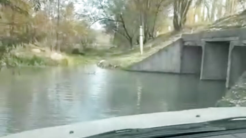 My private car is stuck in the river