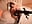 🥵I am completely naked in our bed and bath, you should see - video by ChloeMarsch cam model