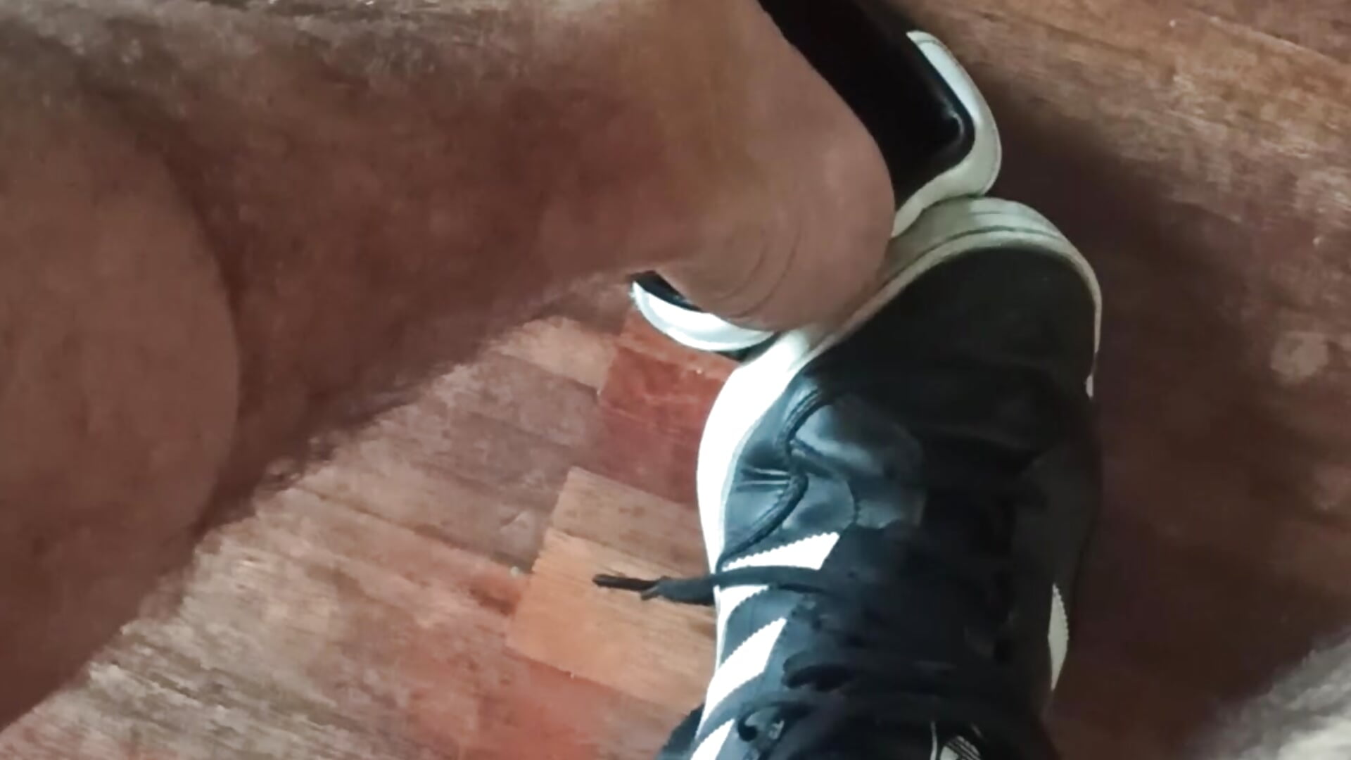 Adidas and my barefoot - vídeo de nipplegayfeet modelo de câmara