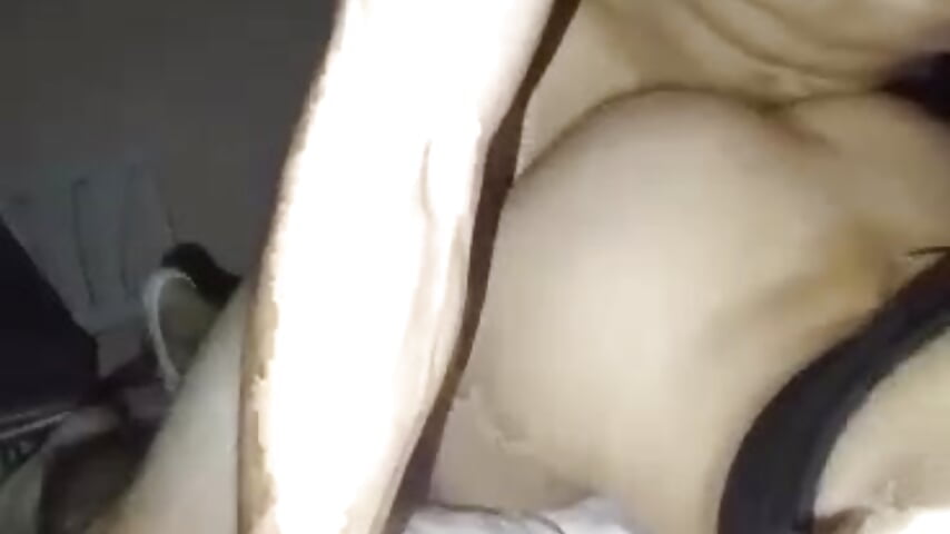Fuck in 4 - video by Sofi_Mayker cam model