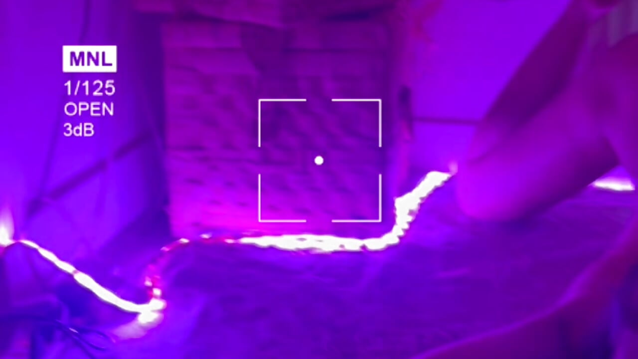 profile-intro-video-1742621284