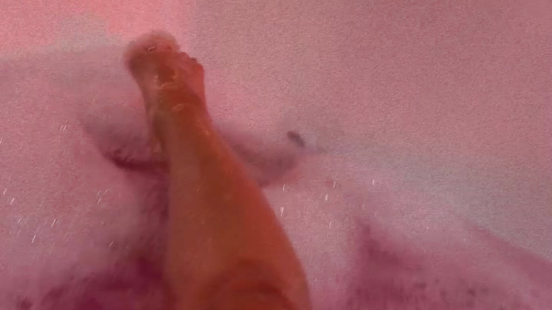 The cup empties ... but my desire not. 🛁💋 - vídeo de la modelo de cam Taylor-Jonnees